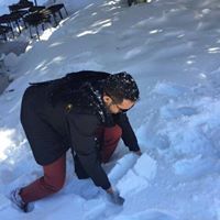 فارس الشريف