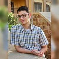 Ziad E. Ammar