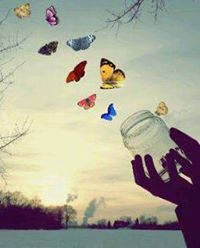 بيتوو جلاوي