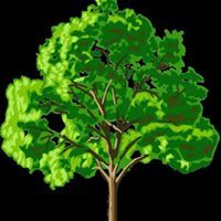 Mohammed Mohammed Amine