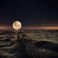 احمد الكوتي