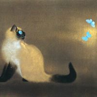 Sihan Wang