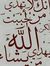Ahmed E...