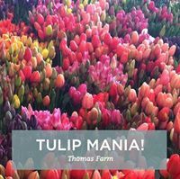 Tulip Mania