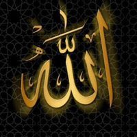 التائب إلي الله