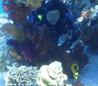 Дмитрий Шабанов