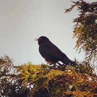 Isabel García De Puglisi