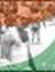 Amit Singh