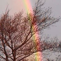 nicolette299googlemail.com