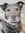 Nelson | 1 comments