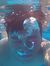Ahmad R...