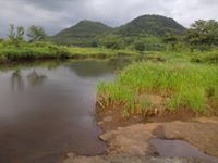 Eknath Sarad