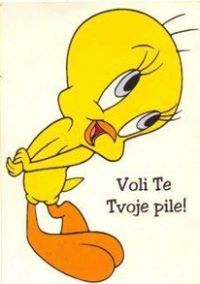 Јасминка Миливојевић Ех Тијанић