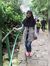 Anni An...