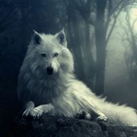 Кристина Димова