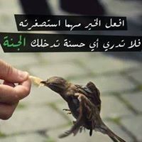 الصادق هويد