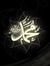 Taher E...