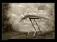 عبدالاله الشهري