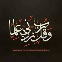 عثمان السيسي