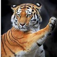 Виктор Антонини