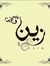 Ahmed Zain