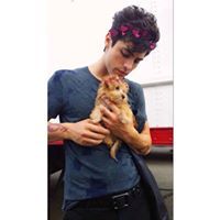 დაიანა. დაიანა.