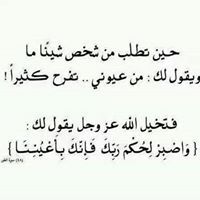 شادي المصري