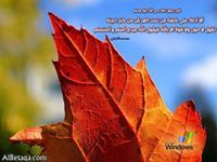 نور الحق