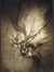 NotHardlyAlice
