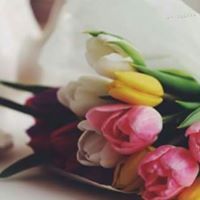 Haleema Wishah