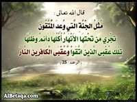 عبده الحمدي