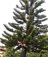 Sandeep Ghimire