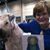 Janet Snoddy