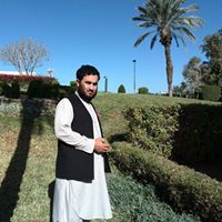 Hekmat Habibi