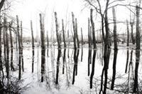 армен захарян