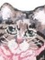 Kitty Davis