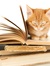Faycat
