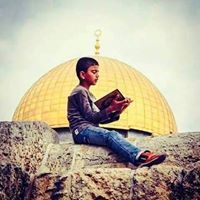 نسائم الاحرار