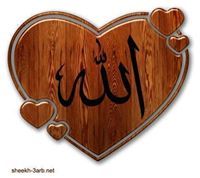 Zabihullah Asif