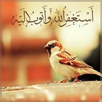 Hadeer Gaber