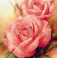DrGhada Abd Elmonem