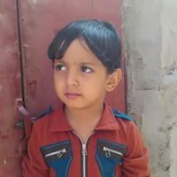 ماجد الحكيم