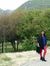 Faryal ...