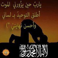 Ahmed Elmohsen