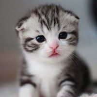 ทัศนีย์ เกษคำ