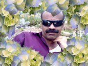 عارف عزالدين