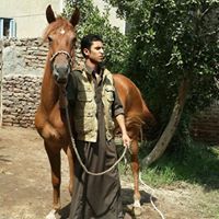 عايش علي الذكرى