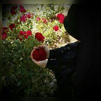 نور الزهراء