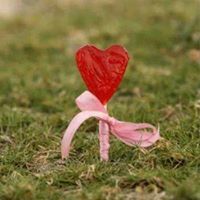 ملاك الغزالي