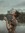 Loly | 1 comments